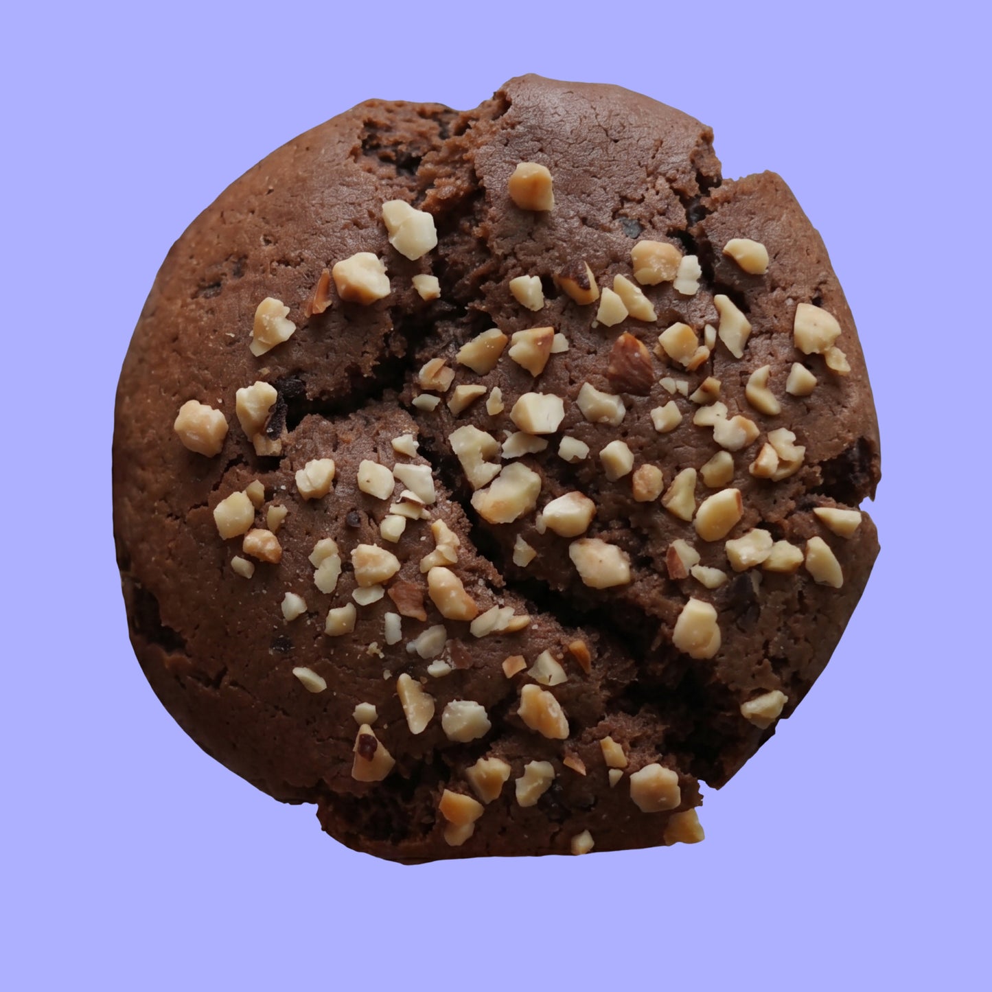 DOUBLE CHOC HAZELNUT